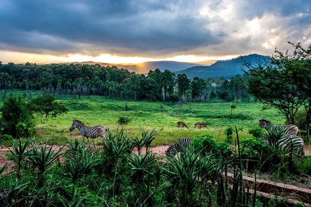 Mlilwane Wildlife Sanctuary